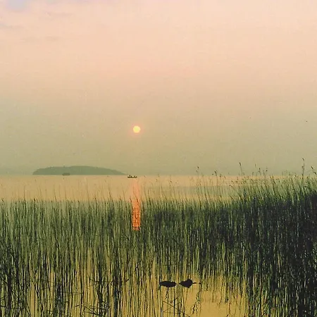 Ross House Equestrian Holidays *