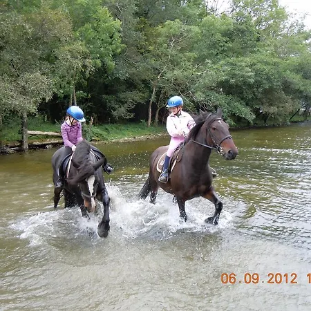 Ross House Equestrian Holidays Lantgård Mountnugent