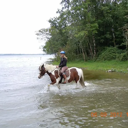 Gospodarstwo agroturystyczne Ross House Equestrian Holidays Mountnugent