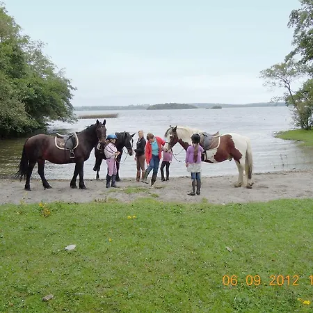Ross House Equestrian Holidays Farm stay *