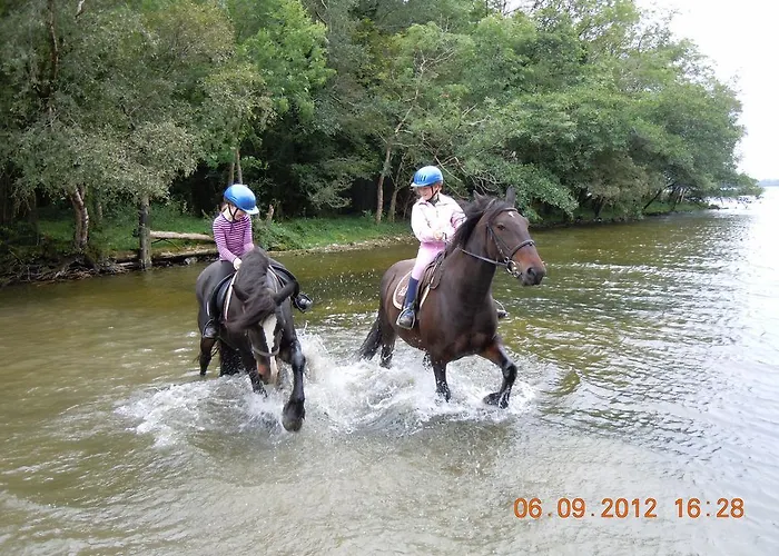 Ross House Equestrian Holidays Séjour à la ferme Mountnugent