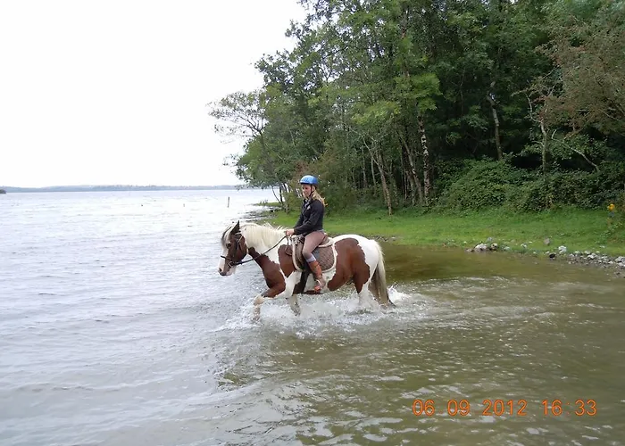 Séjour à la ferme Ross House Equestrian Holidays Mountnugent