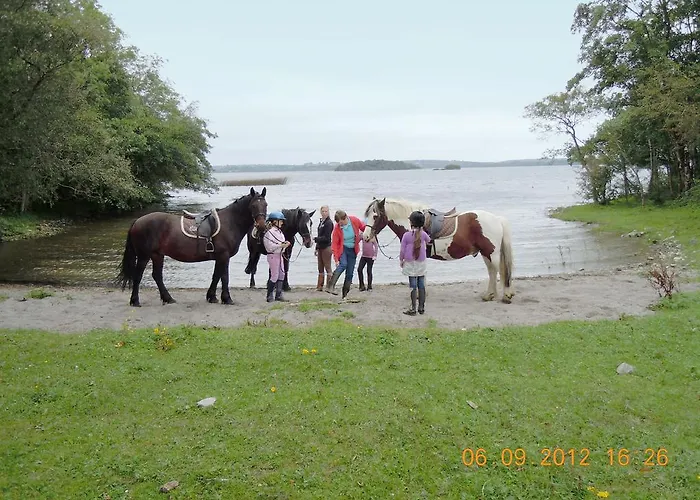 Ross House Equestrian Holidays Séjour à la ferme *